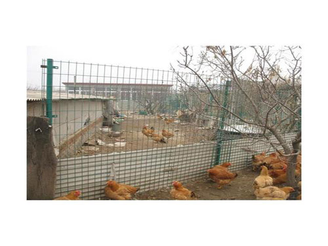 散養雞塑料網護欄價格施工方法